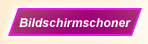 Bildschirmschoner